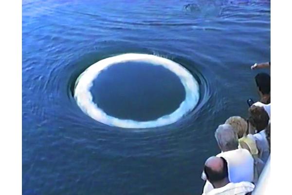 WhaleSETI: Curious Humpback Whales Approaching Humans and Blowing Bubble “Smoke” Rings