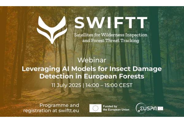 AI Tackles Insect Damage in European Forests: Insights from the EU Project SWIFTT Webinar