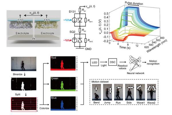 Self-Powered Artificial Synapse Replicates Human Color Vision