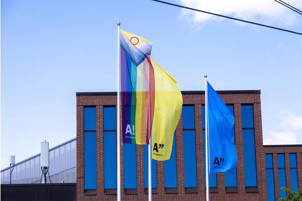 LGBTQ-Friendly Companies Drive Greater Innovation, Study Finds