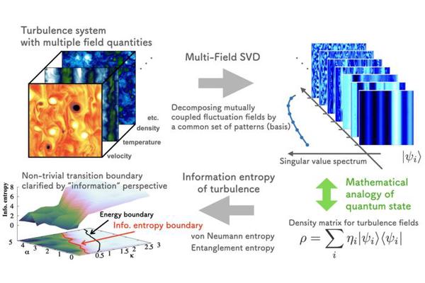 How Information Entropy Deciphers Vortices and Flows in Turbulent Plasmas
