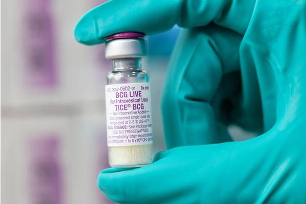 Decades-Old Bladder Cancer Treatment Yields New Insights to Enhance Immunotherapy Advances