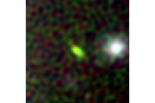 NASA’s Webb Telescope Reveals Galaxy Population Fueling Cosmic Transformation