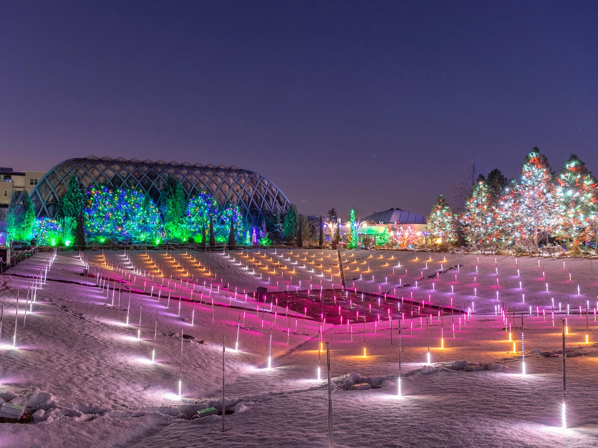 Christmas lights at Denver Botanic Gardens