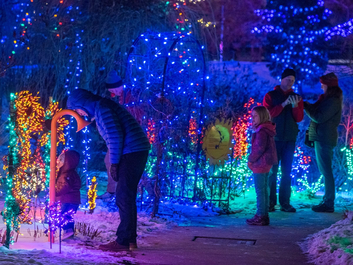 People interacting with Christmas sculptures