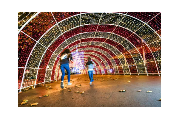 Where To See the Best Christmas Light Displays Around Denver This Year