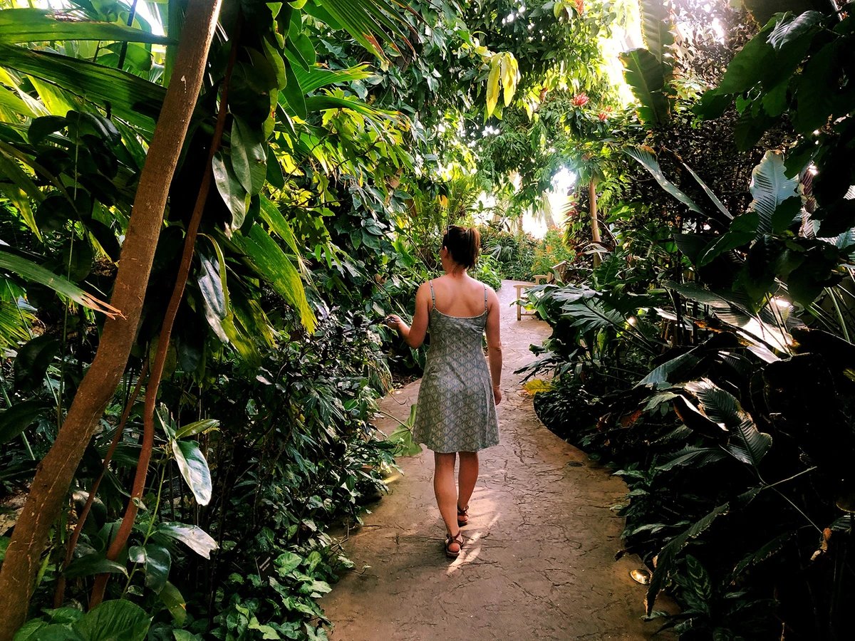 A person walks through the tropical greenery inside the greenhouse at Denver Botanic Gardens.