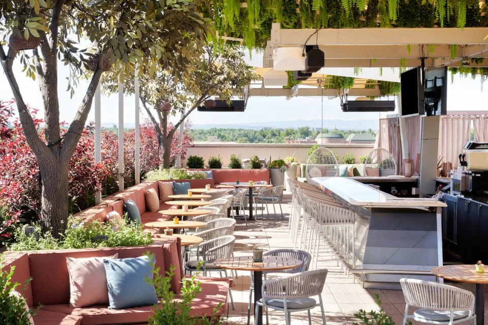 Greenery and trees surround the tables at Halcyon's Rare Bird