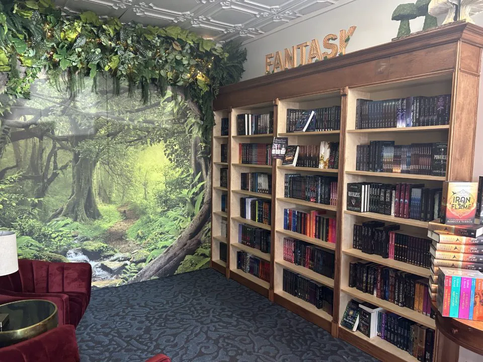 Fantasy bookshelves with forest wallpaper