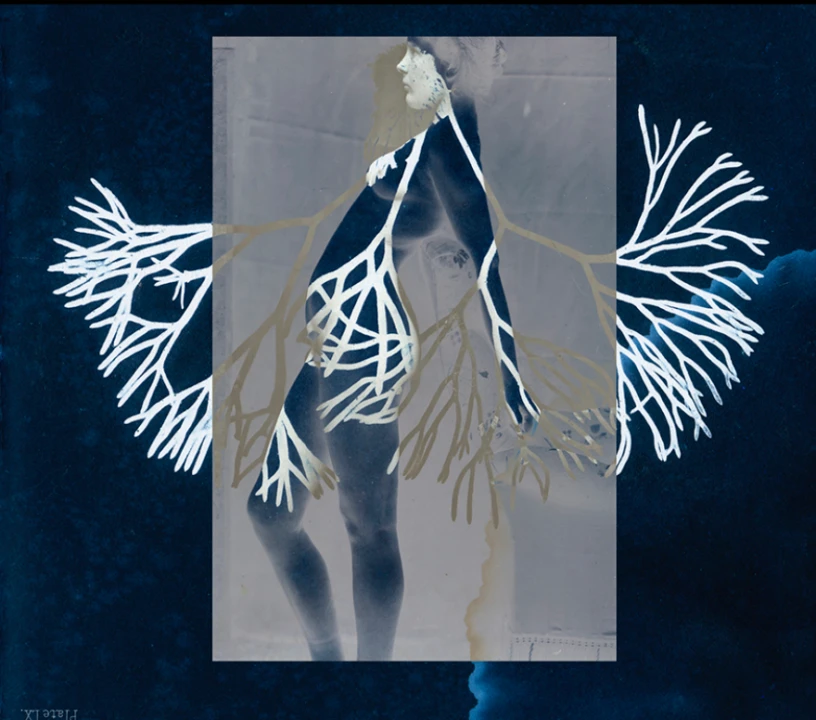 A wheatpaste artwork of a human figure with branch-like shapes layered on top