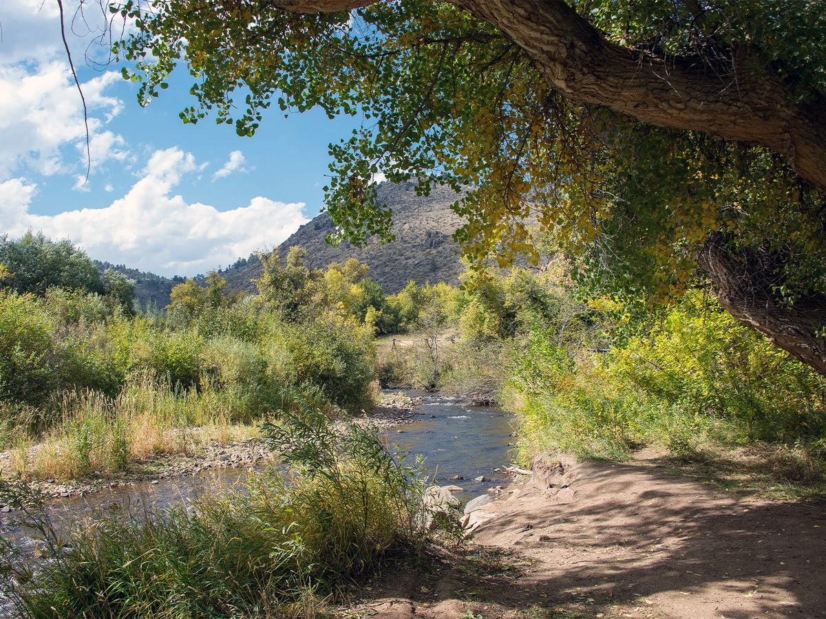 Bear Creek in Lair o' the Bear Park