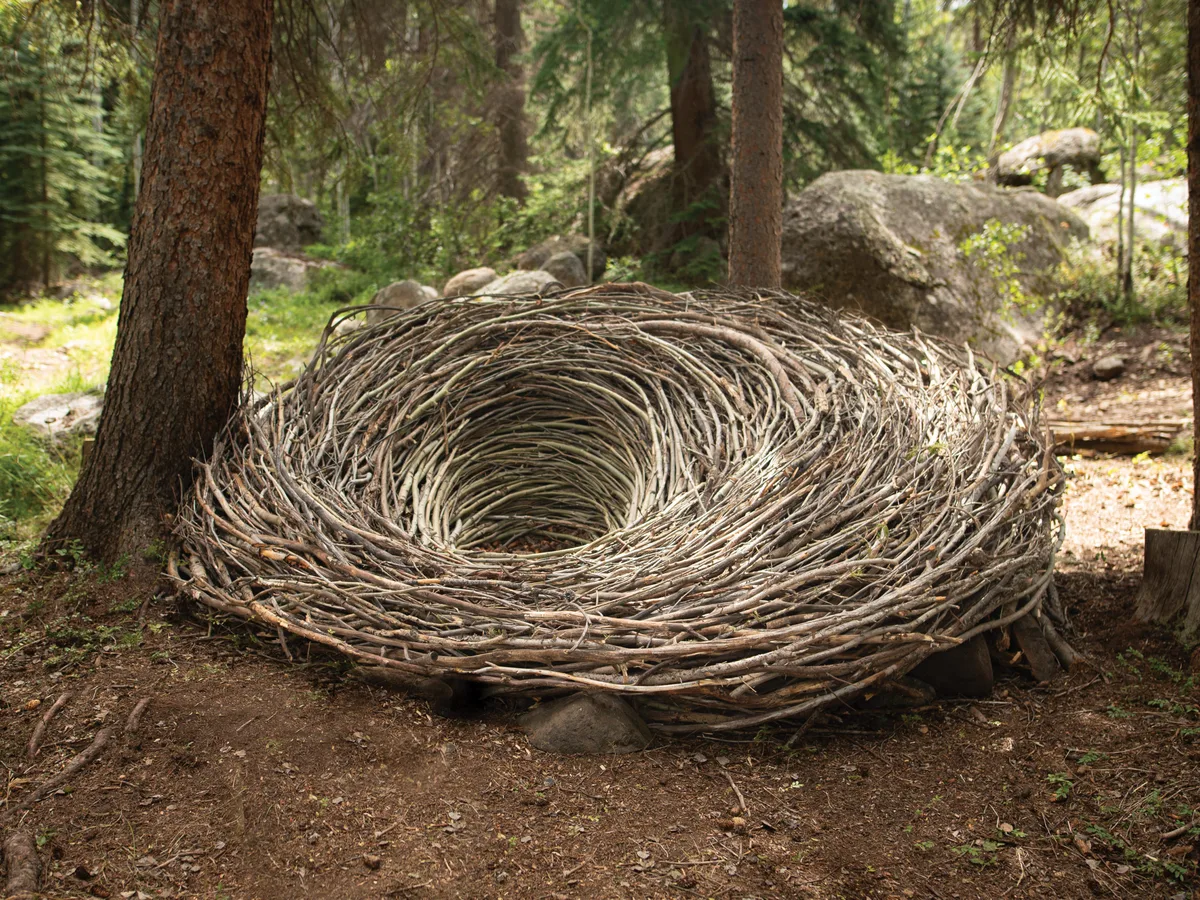 A giant nest at Beyul Retreat