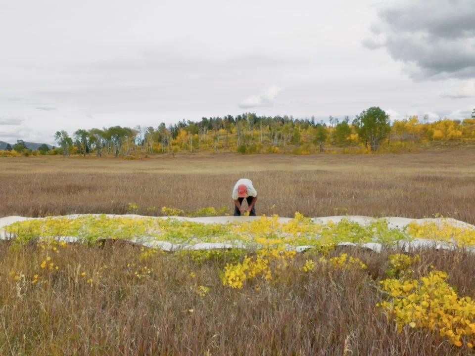 Artist Sam Falls layers flowers onto a canvas in a field