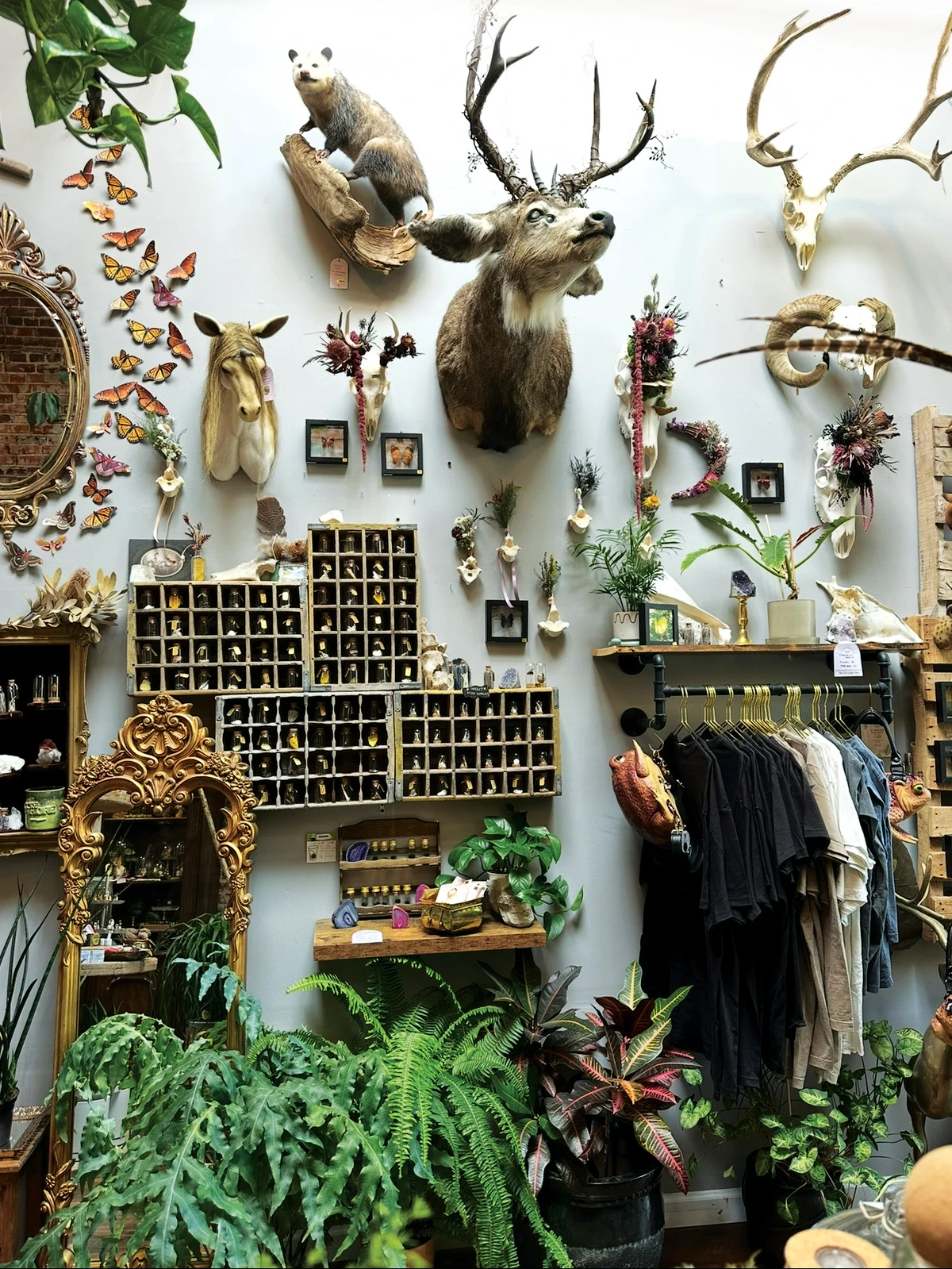 The Terrorium Shop