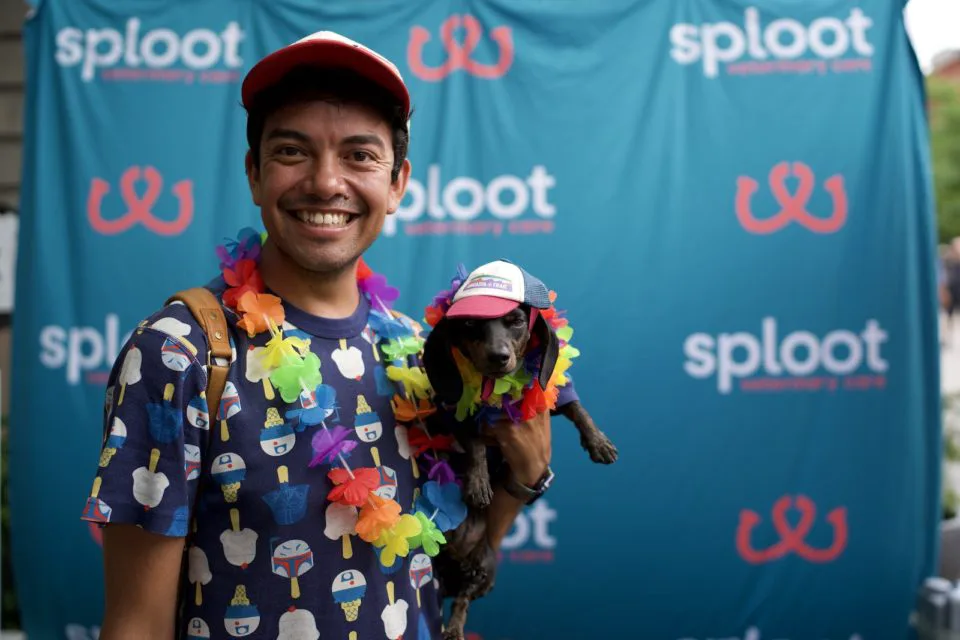 A person dressed in a rainbow boa holds a dog dressed in a Pride hat and boa 