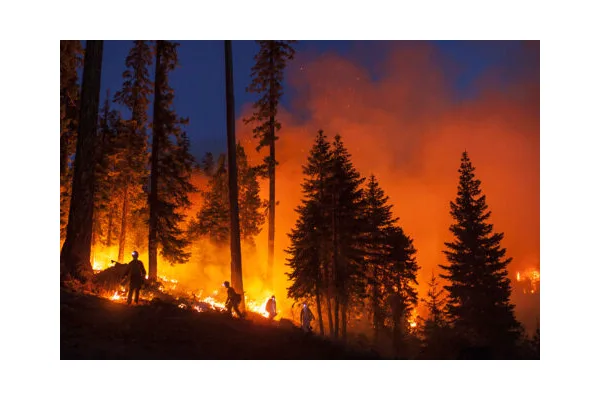 Feel the Heat in Aaron Colussi’s New Documentary About Colorado’s Wildland Fire Crews