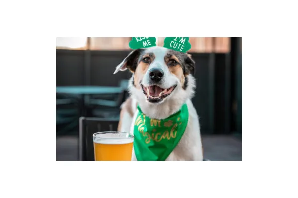 16 Ways to Celebrate St. Patrick’s Day in Denver