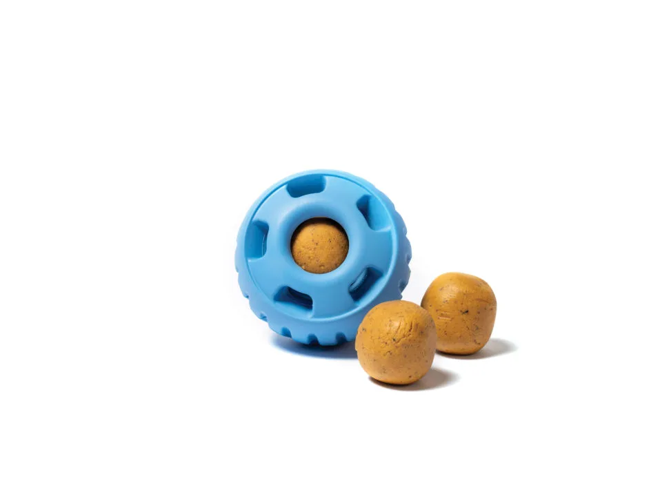 dog toy