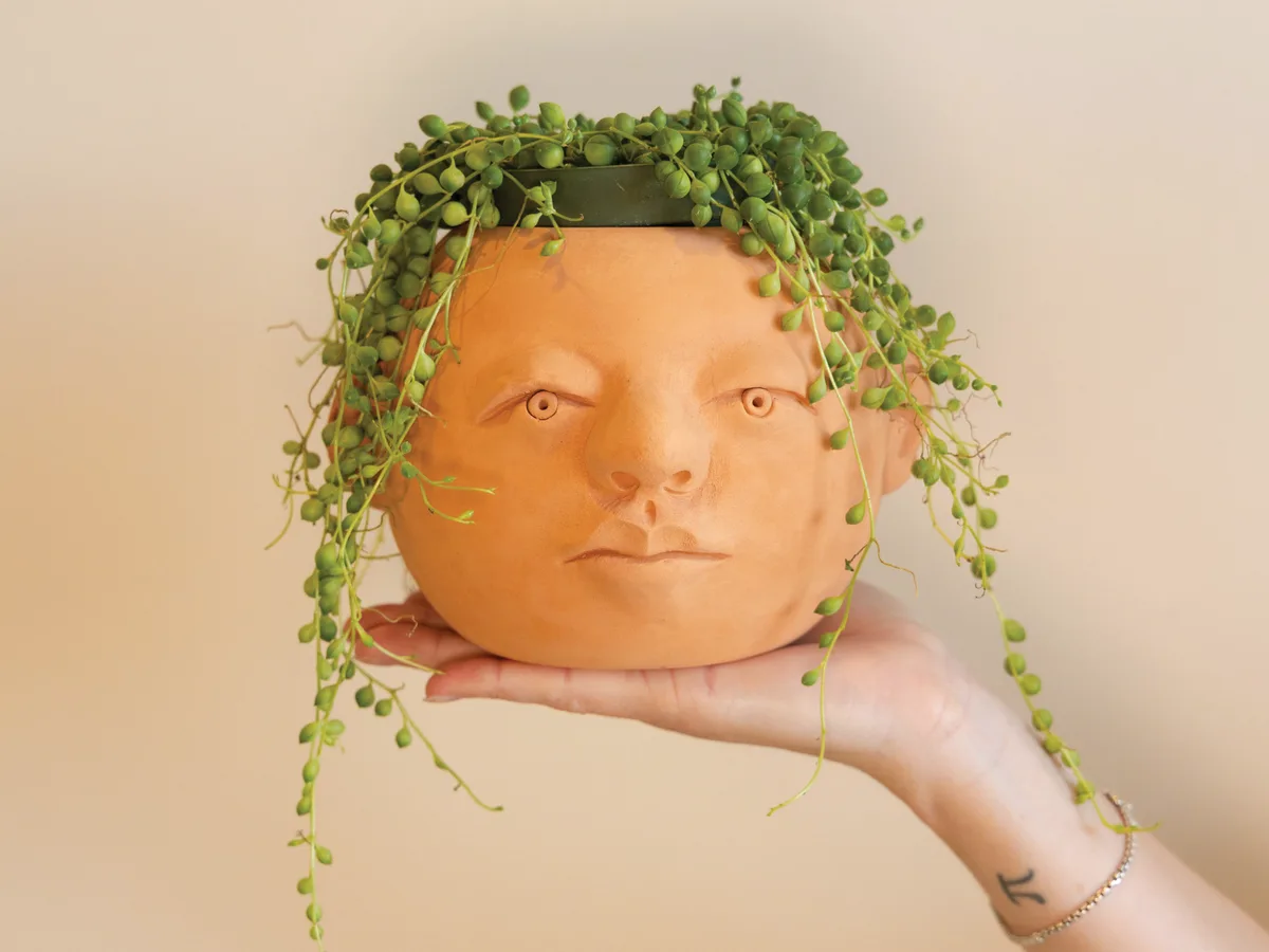 potted plant