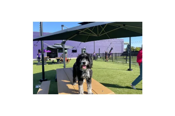 One Pupper’s Review of Denver’s Newest Dog Park (Yes, It Has a Bar for Hoomans)