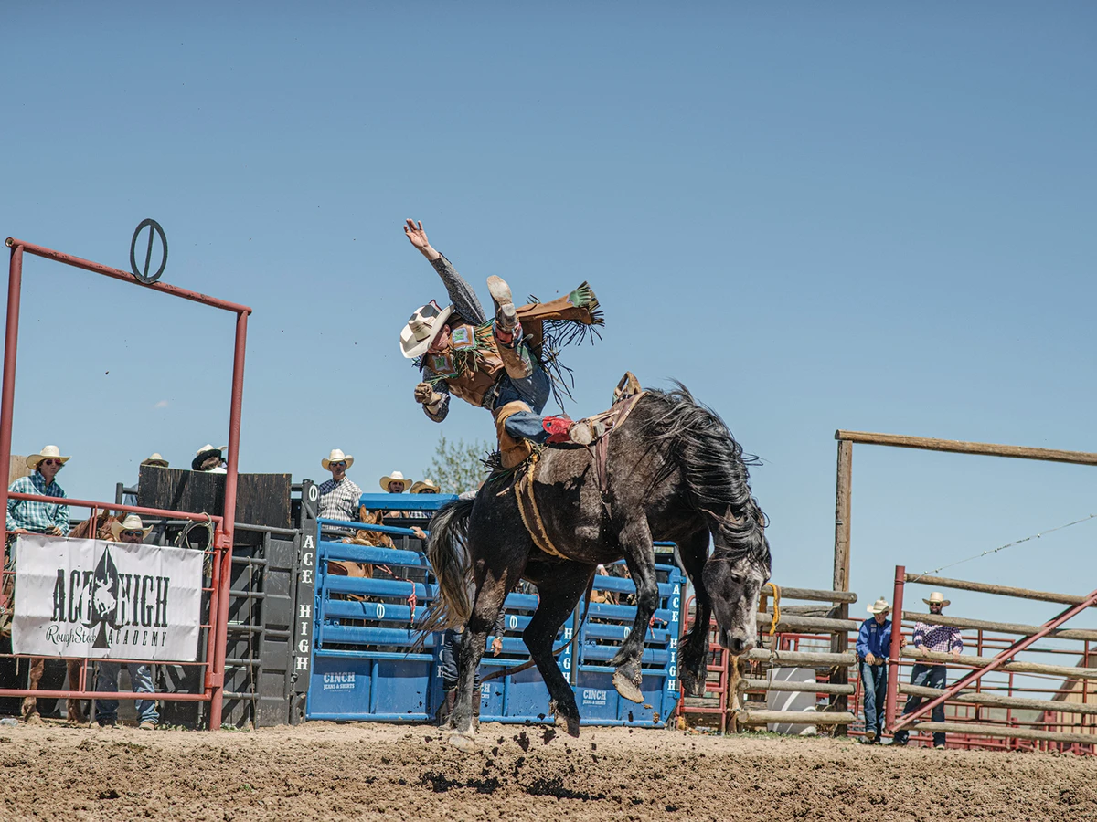 cowboy getting bucked