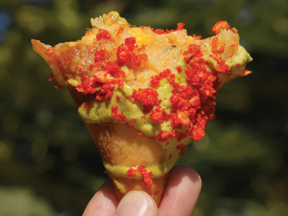 Samosa held up by hand