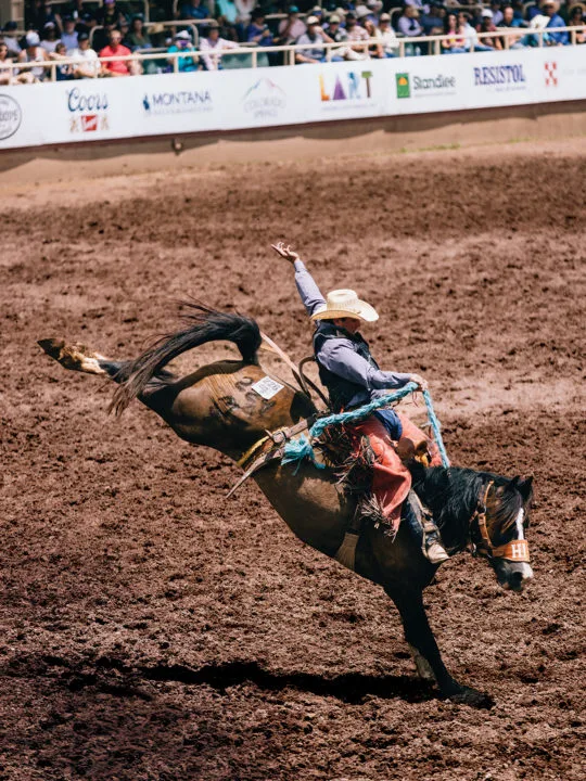 Bareback rider on bucking horse