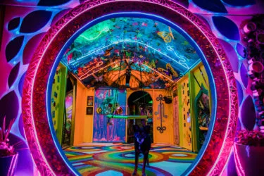 5 Trippy Reasons to Attend the First-Ever Denver Shroom Fest