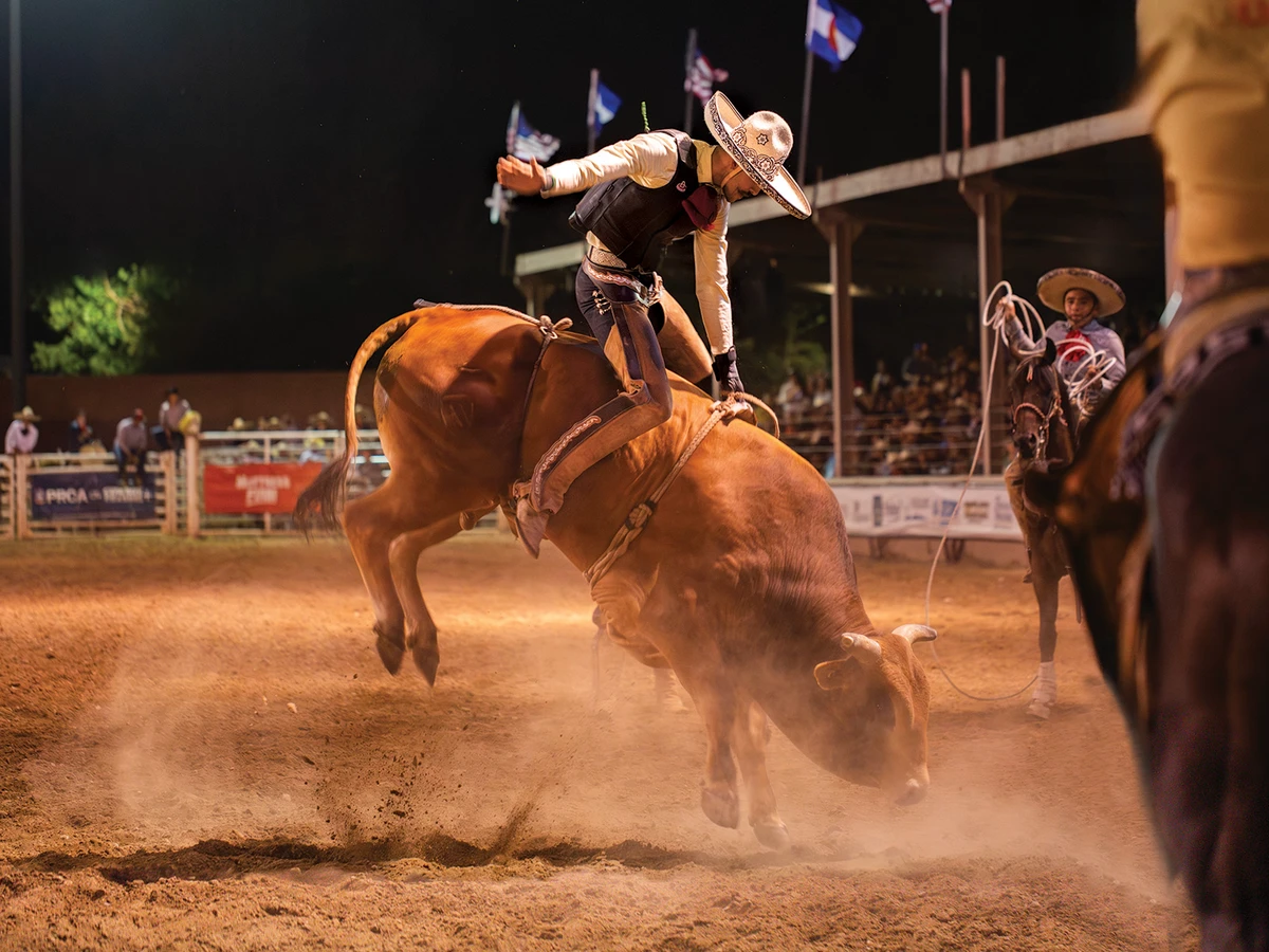 man bull riding