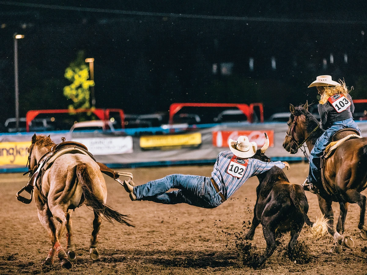 Cowboy on balancing act while wrangling bull