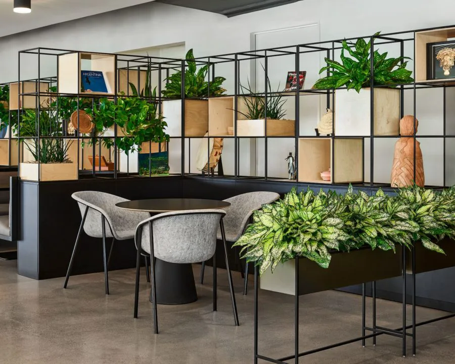 an office break room with lots of plants