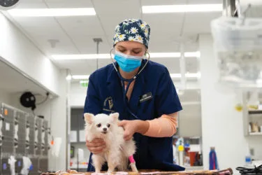 5 Places To Go After the National Western Stock Show