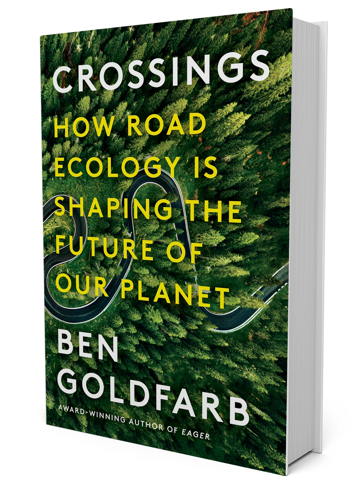 Crossings book jacket
