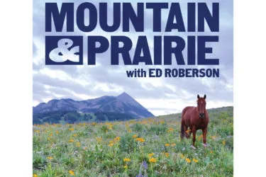 Mountain and Prairie
