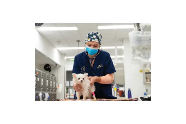 5 Places To Go After the National Western Stock Show