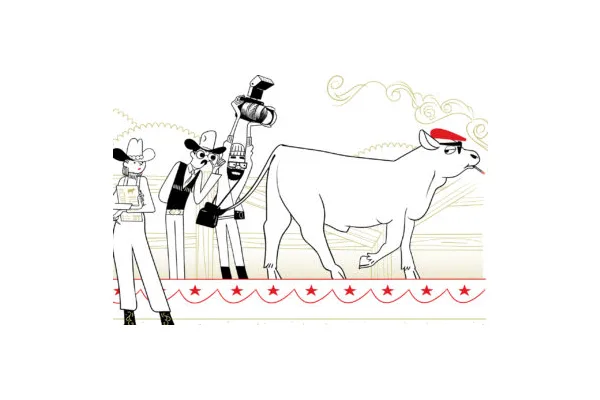 The Oversimplified Guide to Judging Cattle