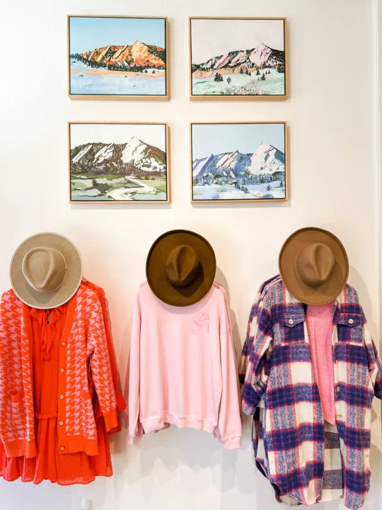 Three displays in Flower Wild below four pieces of artwork detailing the Boulder Flatirons.