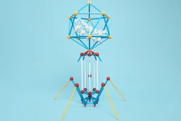 Your Back-to-Summer Shopping List to Keep Colorado Kids Entertained Over the Break