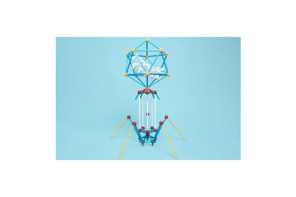 Your Back-to-Summer Shopping List to Keep Colorado Kids Entertained Over the Break