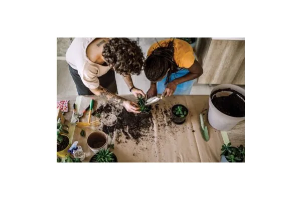 3 Ways To Pot Your Plants