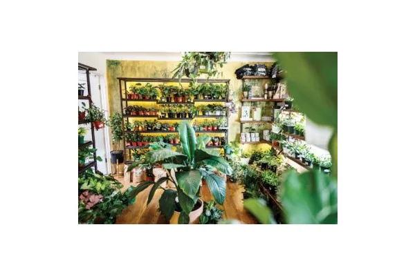 Visit These Local Plant Shops To Find Your Next Leafy Friend
