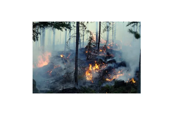 New Theatrical Concert  Centers Community Stories From the East Troublesome Fire