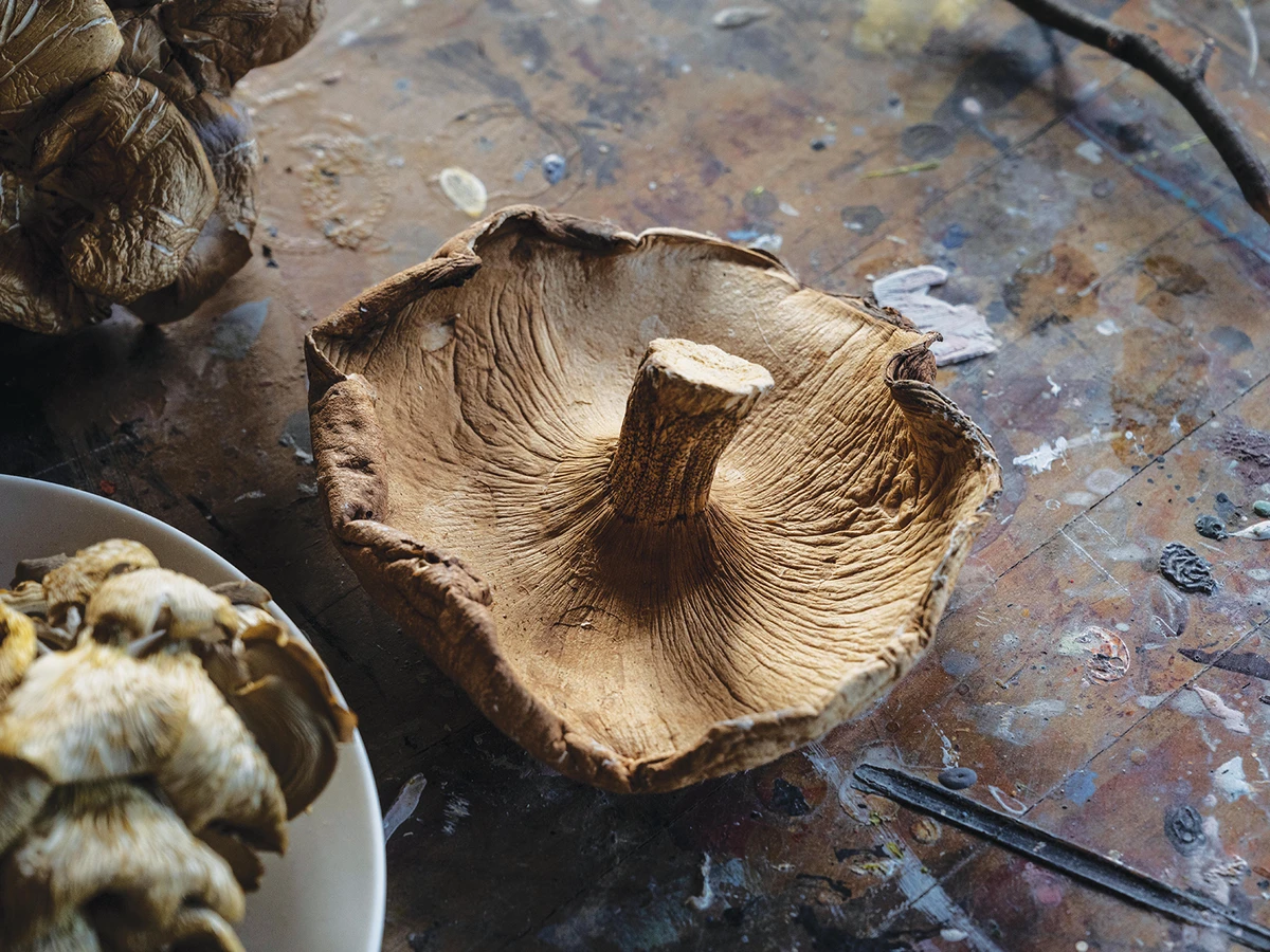 Mushrooms