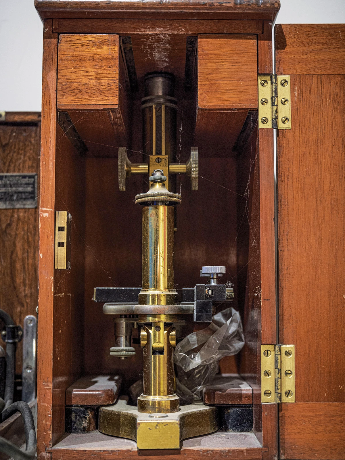Microscope
