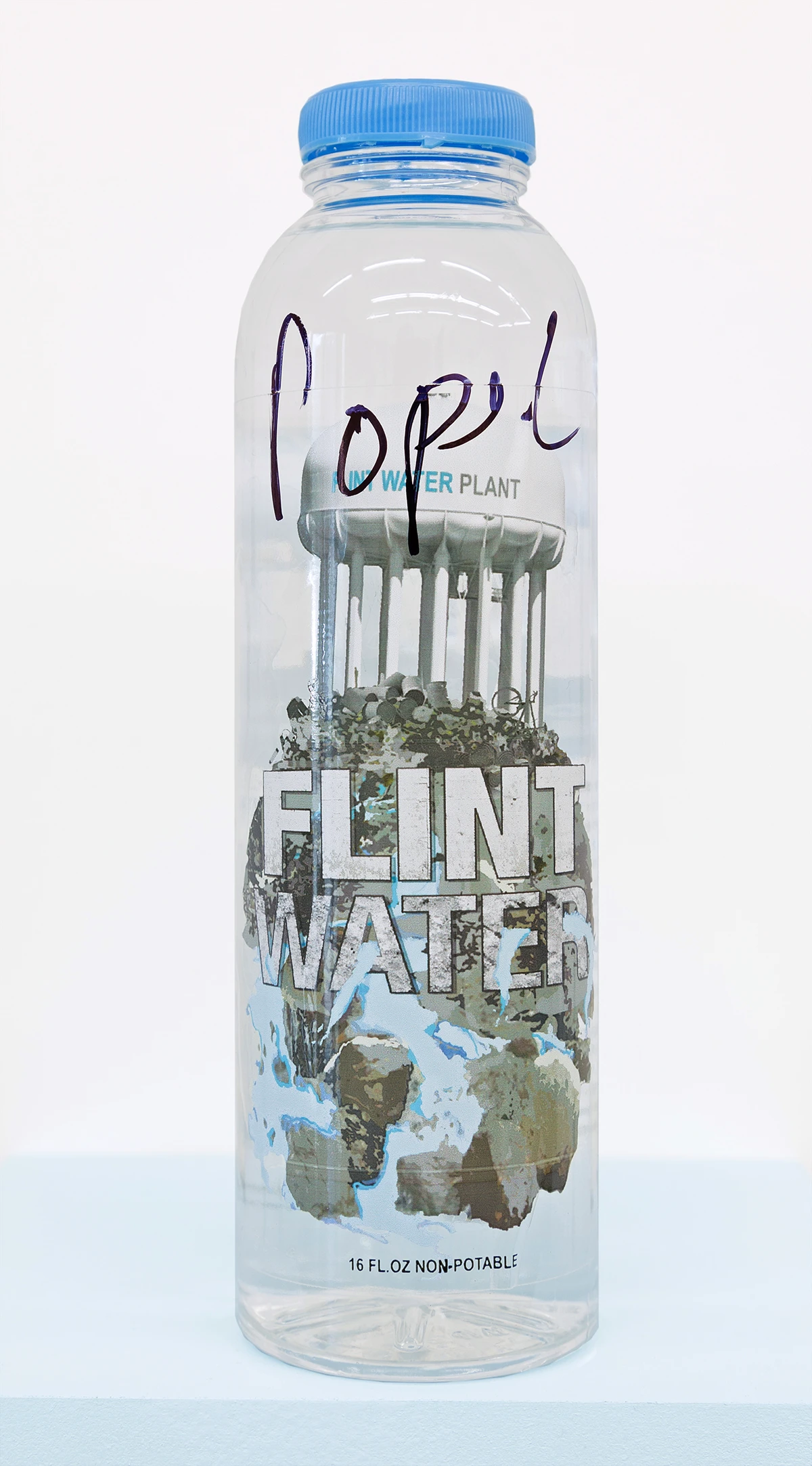 Flint Water Bottle