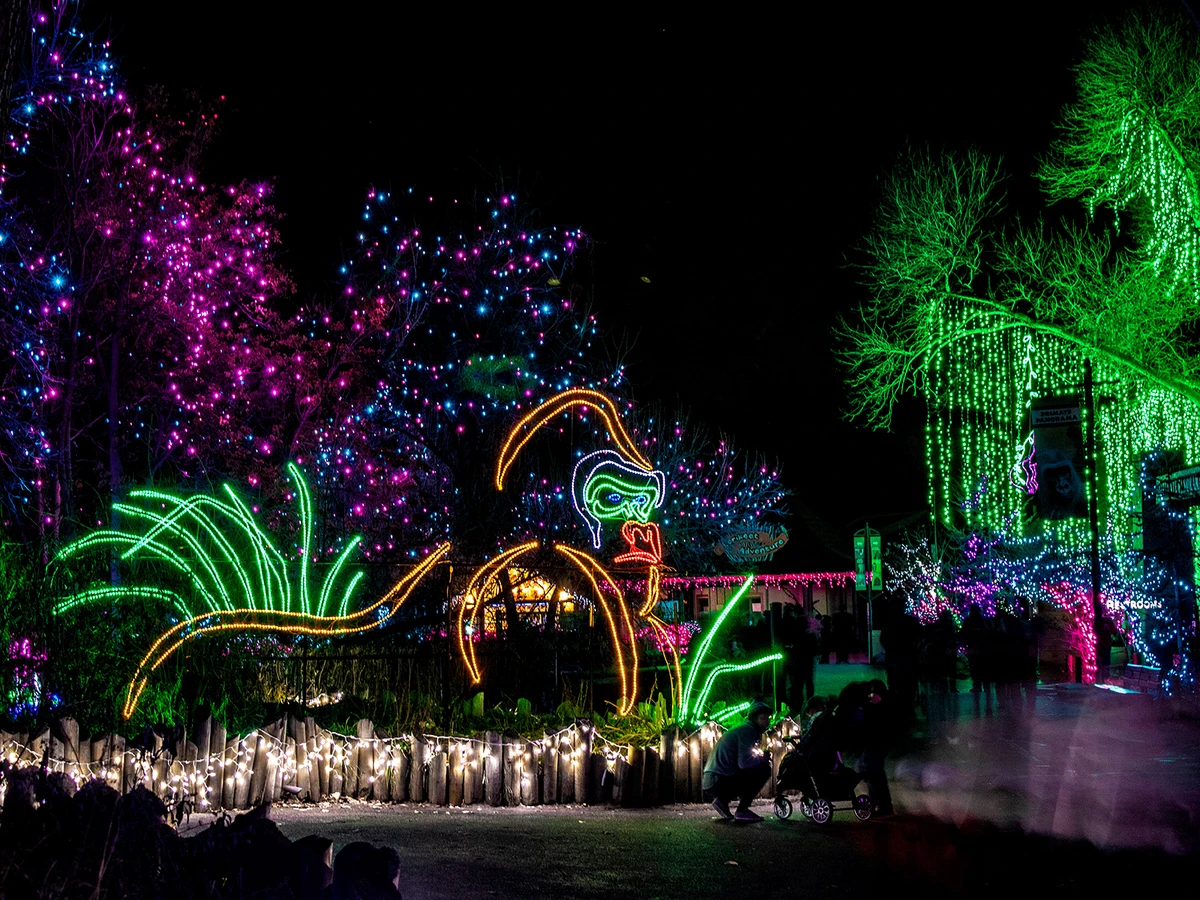 Denver Zoo Lights