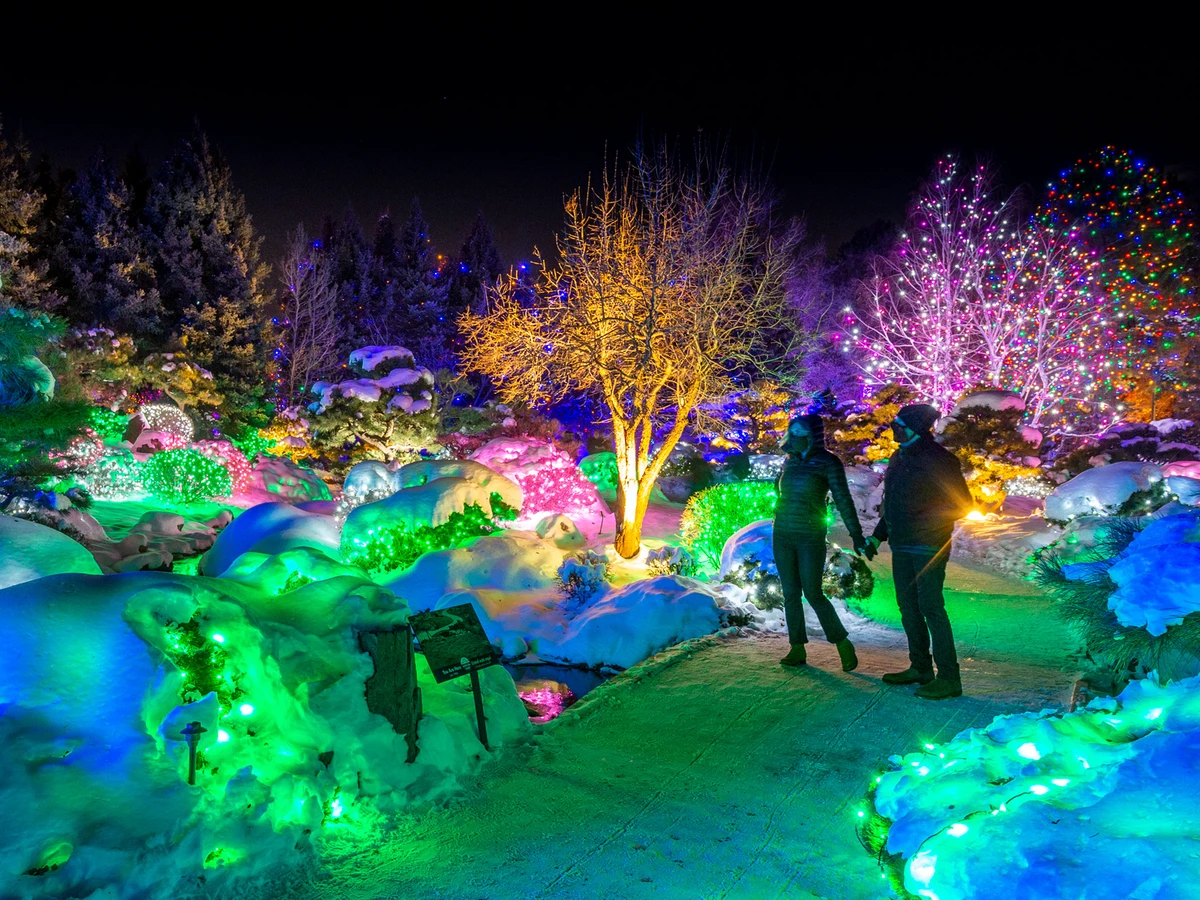 Blossoms of Light