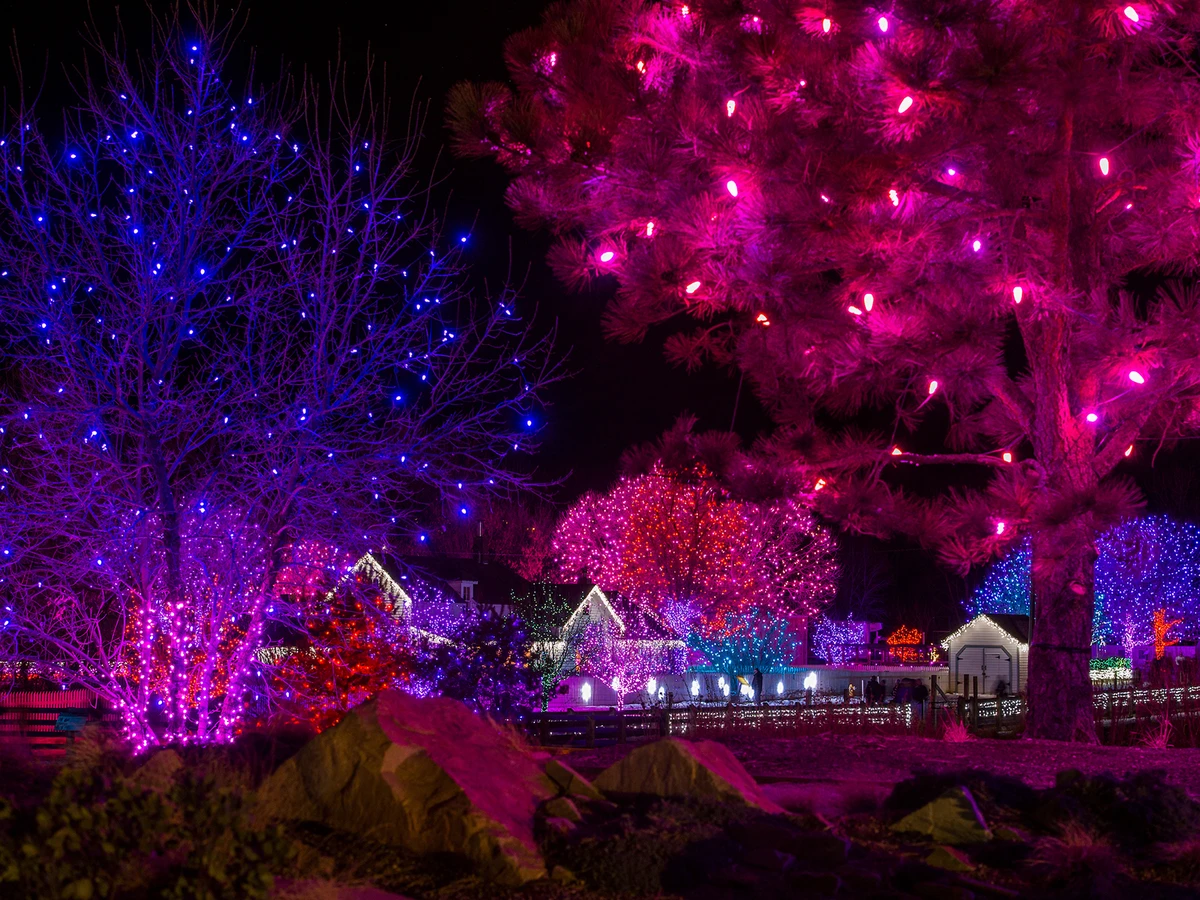 Trail of Lights