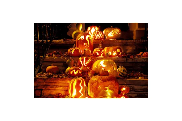How to Plan a Pandemic-Proof Pumpkin Gallery