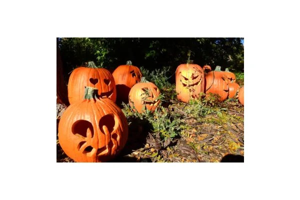 11 Festive Things to Do This Fall in Colorado